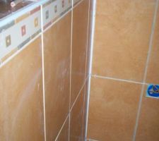 La faïence dans la salle de bains.