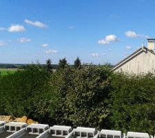 Vue de l'Ouest : au 1er &eacute;tage