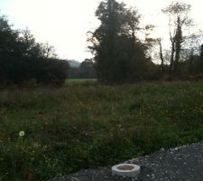 Terrain lors de l'achat