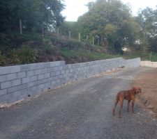 Montage du mur de soutènement.
