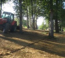 Finition du semis du gazon en sous-bois, aération et roulage simultanément