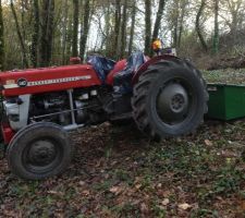 Nouvel arrivant pour prêter main forte