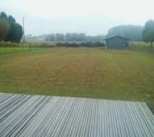 Le gazon sort de terre !