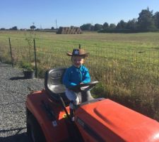 Un Cow-boy à la tonte !!