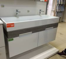 Meuble SDB