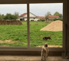 Les petites toutoutes