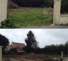 Ouverture chantier / abattage des arbres