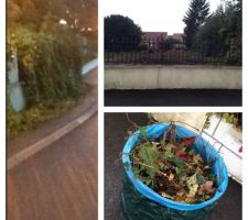 Débroussaillage du trottoir