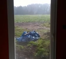Vue de la cuisine ( a terme 25 parcelles seront vendue dans ce pré ? )