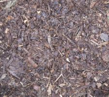 Compost toilettes sèches après un peu plus d'un an d'évolution