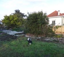 Le jardin apres deux jours de demolition