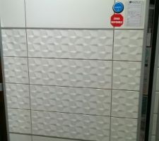 Carrelage de la salle de bain