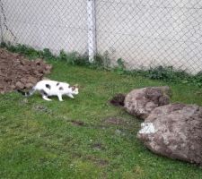 Les 2 poteaux à linge sont arrachés du sol.