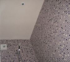 Haut douche &agrave; l'italienne... avec le spot qu'il faut