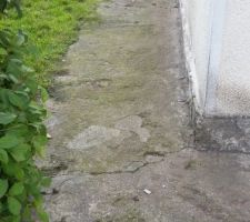 Allée côté de la maison