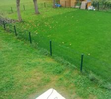 Mauvaises herbes