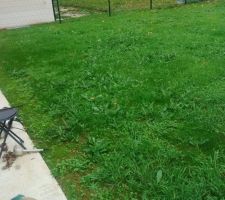 Jardin en mauvais état