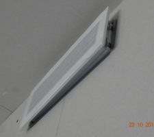 Grille de diffusion Ribo