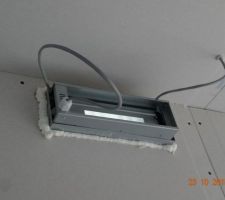 Grille de diffusion Ribo