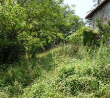 La maison dans son état initial : la nature a visiblement repris le pouvoir ...