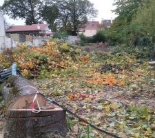 Fin des travaux de pr&eacute;paration du terrain (il reste quand m&ecirc;me &agrave; &eacute;vacuer les branches et feuillages en d&eacute;charge)