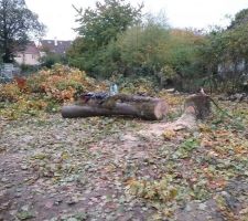 Fin des travaux de pr&eacute;paration du terrain (il reste quand m&ecirc;me &agrave; &eacute;vacuer les branches et feuillages en d&eacute;charge)