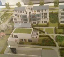 Plan du site général