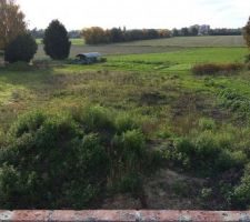 Vue du jardin (pas encore aménagé ) sur le futur balcon
