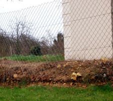 REMBLAI - Différence de niveau de terrain en aval de la pente (limite de propriété voisine) suite à la mise en place du remblai par le constructeur.