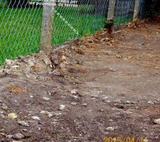Retrait du remblai et remise à niveau du terrain en limite de propriété voisine. clôture grillagée endommagée par les poussées de terres.