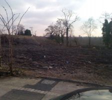 L 'avant de notre terrain !!