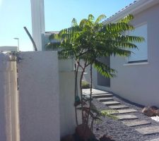 Entr&eacute;e de la maison