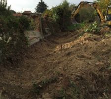 La haie que nous avons décidé d'enlever complètement de chaque côté... Etant donné qu'elle est morte et pourrie le grillage!