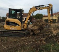 On d&eacute;place la souche...