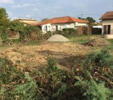 Terrain et branchages