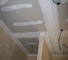 Les spots encastrés dans la salle de bains.