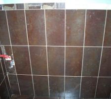 La faïence des WC de l'entrée.