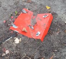 Truc bizarre rouge sur mon terrain