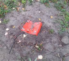 Truc bizarre rouge sur mon terrain