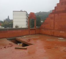 En blanc bâtiment tout est en beton mais y trouve beaucoup d'herbes, en rouge baie pour lucarne et escalier et dalle des combles.au dessus de l'encuvement on y voit la corniche en gris