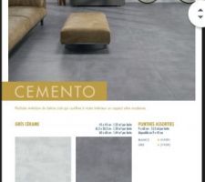 Carrelage 60*60 cemento gris pour la cuisine salon entrée