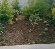 Vue du jardin "zen" depuis la terrasse SO très agréable en automne-hiver