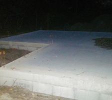 Au revoir les termites!!