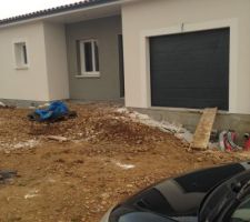 Crépis face avant