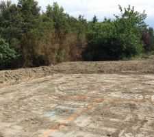 La maison est implant&eacute;es sur le terrain et les fondations de la maison sont dessin&eacute;es