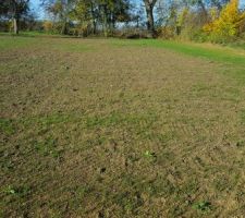 Voila le problème !  
Les traces de passage des vers (lombric)