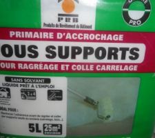 Sur les autres escaliers début du béton ciré
En premier, passer la primaire d'accrochage au pinceau