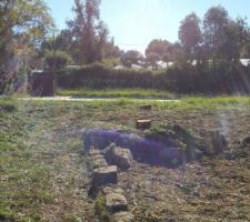 Les 3 arbres au milieu du terrain ont été abattus pour laisser place à la maison :)