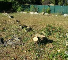 Les 3 arbres au milieu du terrain ont été abattus pour laisser place à la maison :)