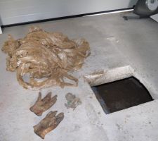 Fourreaux et quelques Déchets extraits du VS